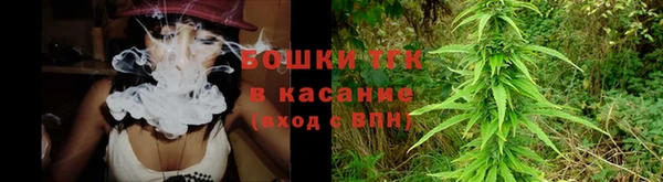 стаф Волосово