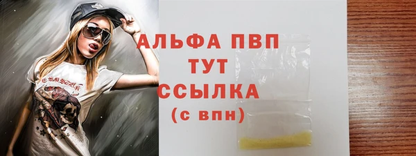 стаф Волосово