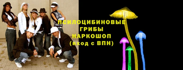 стаф Волосово