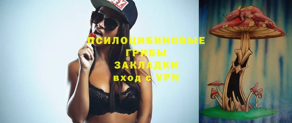 стаф Волосово