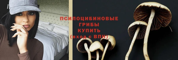 стаф Волосово