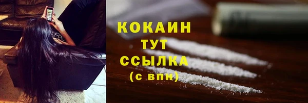 стаф Волосово