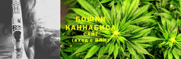 стаф Волосово
