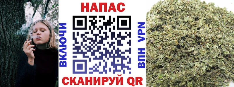 Купить где  Оленегорск  Каннабис индика 